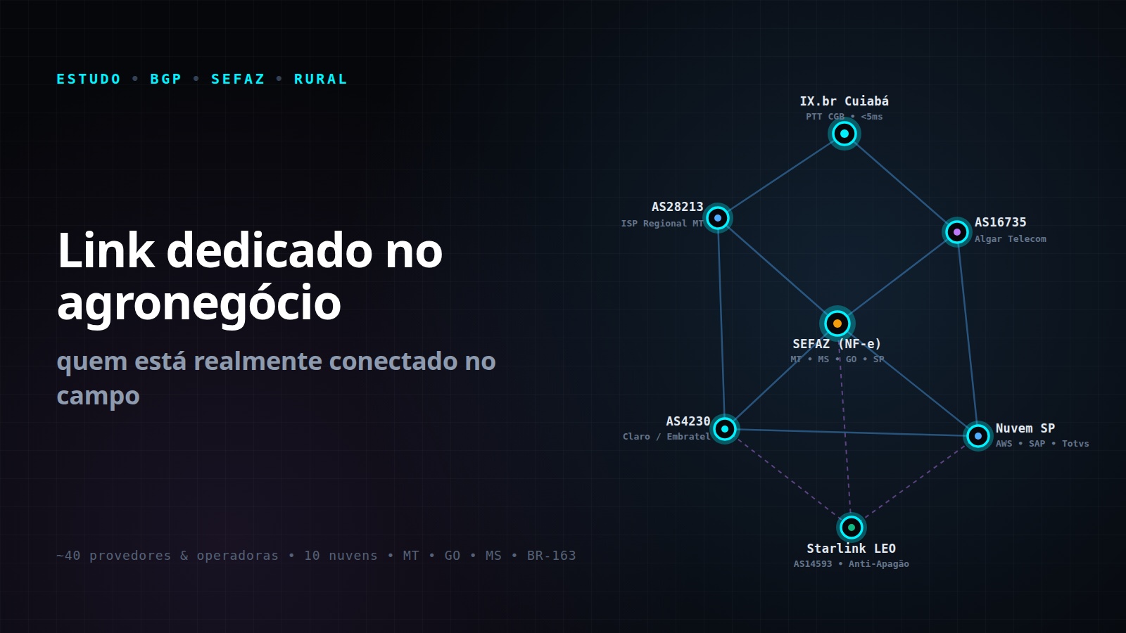 Link dedicado no agronegócio: quem está realmente conectado no campo